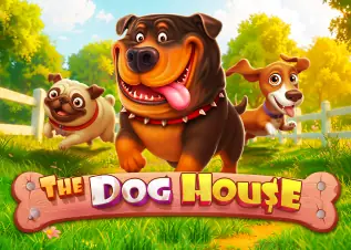 safezone28 รีวิว The Dog House ทดลองเล่นฟรี